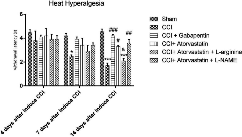 Effects of atorvastatin administration on CCI-induced heat hyperalgesia assessed by Hot Plate test (n = eight rats per each group). *P < 0.05, **P < 0.01, ***P < 0.001 vs. Sham, #P < 0.05, ##P < 0.01, ###P < 0.001 vs. CCI, &P < 0.05, &&P < 0.01, &&&P < 0.001 vs. CCI + ATOR + LOS