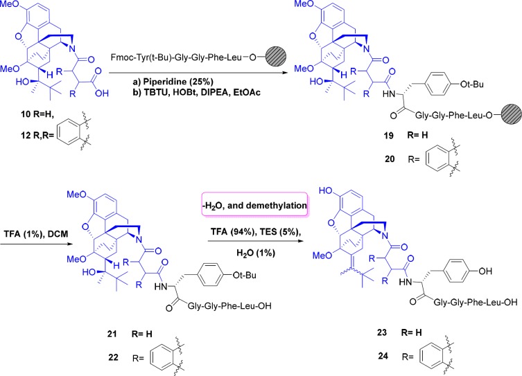 Synthesis of Leu-enkephalin-norbuprenorphine derivatives with linkers
