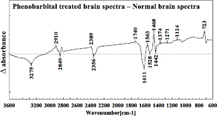 Difference of FTIR spectra of Phenobarbital treated brain sections in the 3600–600 cm-1 wave number region from normal brain sections