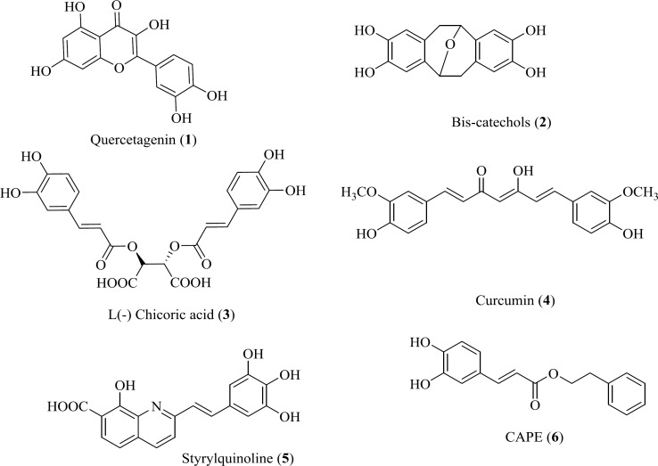 Representative structures of polyhydroxylated aromatic derivatives.