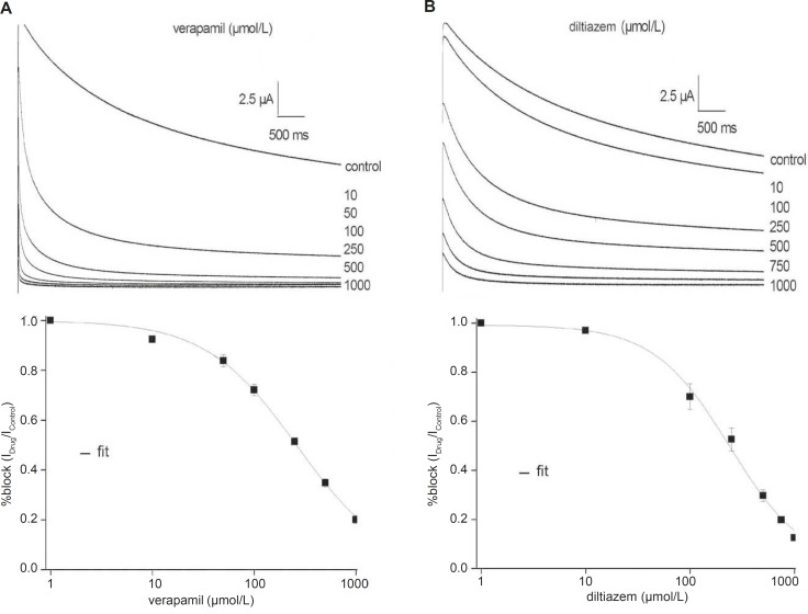 Concentration-response relationships for the inhibition of the fKv1.4ΔN currents by verapamil (A) and diltiazem (B). Upper panels: Representative current traces were elicited in the absence and presence of increasing concentrations of verapamil (A) and diltiazem (B). Currents were recorded by depolarizing pulses to +50 mV from a holding potential of –90 mV. Lower panels: The peak currents were normalized the maximum peak current under control conditions and plotted against verapamil (A) and diltiazem (B) concentrations. The curves were derived by fitting data to the Hill equation: f = KD/ (KD + D), where f is fractional current, KD is the apparent dissociation constant, and D is the drug concentration. Symbols and error bar are mean ± SEM (n = 5).