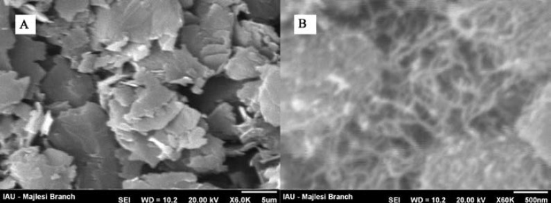 SEM images of (a) CPE and (b) MWCNTs/MCPE.
