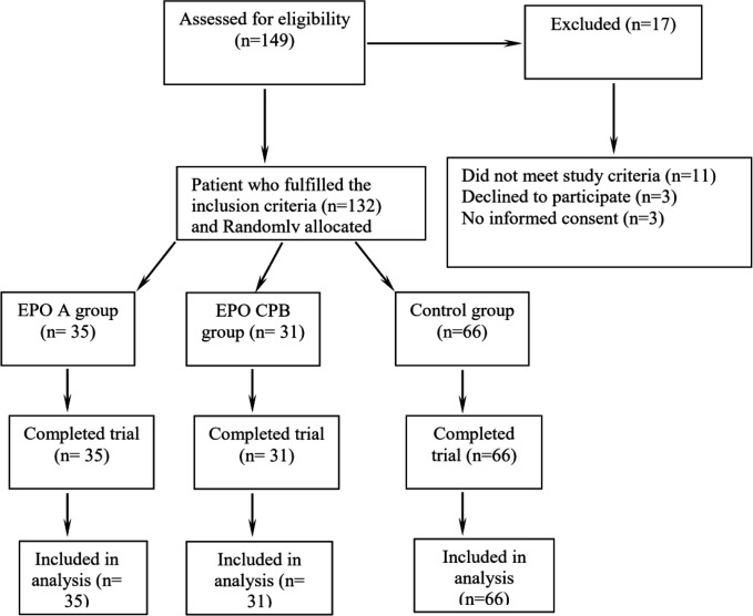 Study flow diagram. Among 149 patients who were included consecutively in this study, 17 patients were excluded and the remaining 132 patients were analyzed