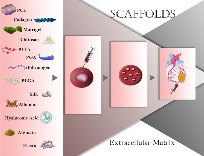 Natural and synthetic materials used in cardiac tissue engineering. PCL: polycaprolactone; PLLA: polylactide; PGA: Polyglycolide; PLGA: poly (lactic-co-glycolic acid).