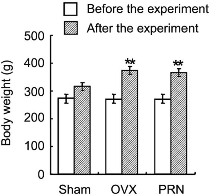 Effect of propranolol on the body weight of animals. After 11 weeks administration of propranolol, the body weight of ovariectomized rats was measured. Data are expressed as mean ± SD. (n=10). ** p < 0.01, compared with sham