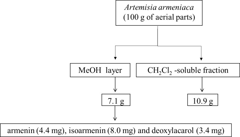 Partitioning scheme of A. armeniaca