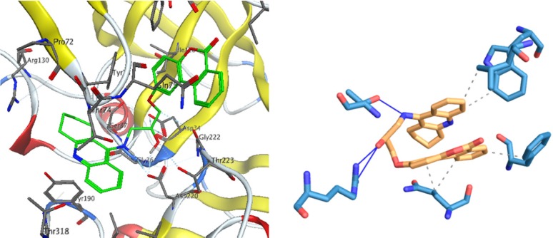 Interactions of compound 1 with the residues in the binding site of BACE-1 receptor (1W51)