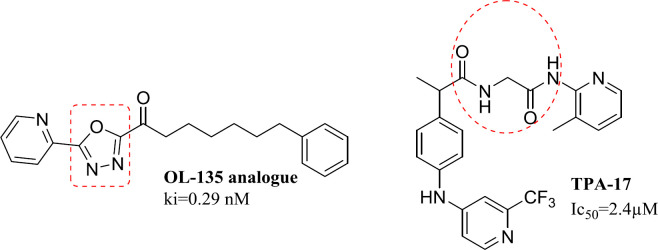 Chemical structures of the OL-135 analogue and Ibuprofen amide as known FAAH inhibitors