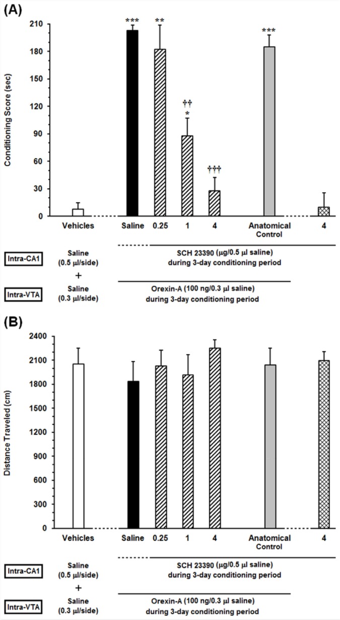 Effects of unilateral microinjection of different doses of Sulpiride as a D2-like receptor antagonist, into the dorsal hippocampus (CA1) on intra-VTA orexin-induced CPP (A) In this set of experiments, animals received different doses of (0.25, 1 and 4 µg/0.5 µL DMSO) or DMSO (0.5 μL/side) as a vehicle in the CA1, 5 min prior to intra-VTA injection of orexin A (100 ng/0.3 µL saline) during the 3-day conditioning period and the conditioning scores were measured in post-conditioning day. (B) Mean locomotor activity of all the groups in this set of experiment during 10-min period on post-test day. The anatomical control group (n = 6) received the highest dose of Sulpiride (4 µg/0.5 µL DMSO), 5 min prior to orexin-induced conditioned place preference. All data are expressed as mean ± SEM for 6-7 rats. *P <0.05, ***P < 0.001 different from the vehicle-control group (white bar). †††P < 0.001 different from the control group (black bar)