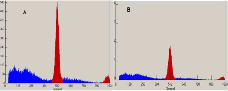 MCA Chromatograms of 18F-FDG after synthesis (A) and 10h later (B) at 35 - 40 ºC