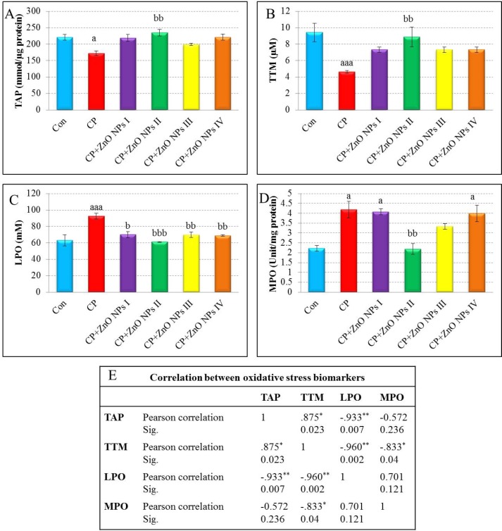 Effects of various concentrations of ZnO NPs in oxidative stress biomarkers [TAP values (A), TTM levels (B), LPO levels (C), and MPO activity (D)] of isolated human lymphocytes in the presence of CP. Data are expressed as mean±SEM. Significantly different from control at ap < 0.05, aaap< 0.001. Significantly different from CP at bp< 0.05, bbp < 0.01, bbbp < 0.001.
