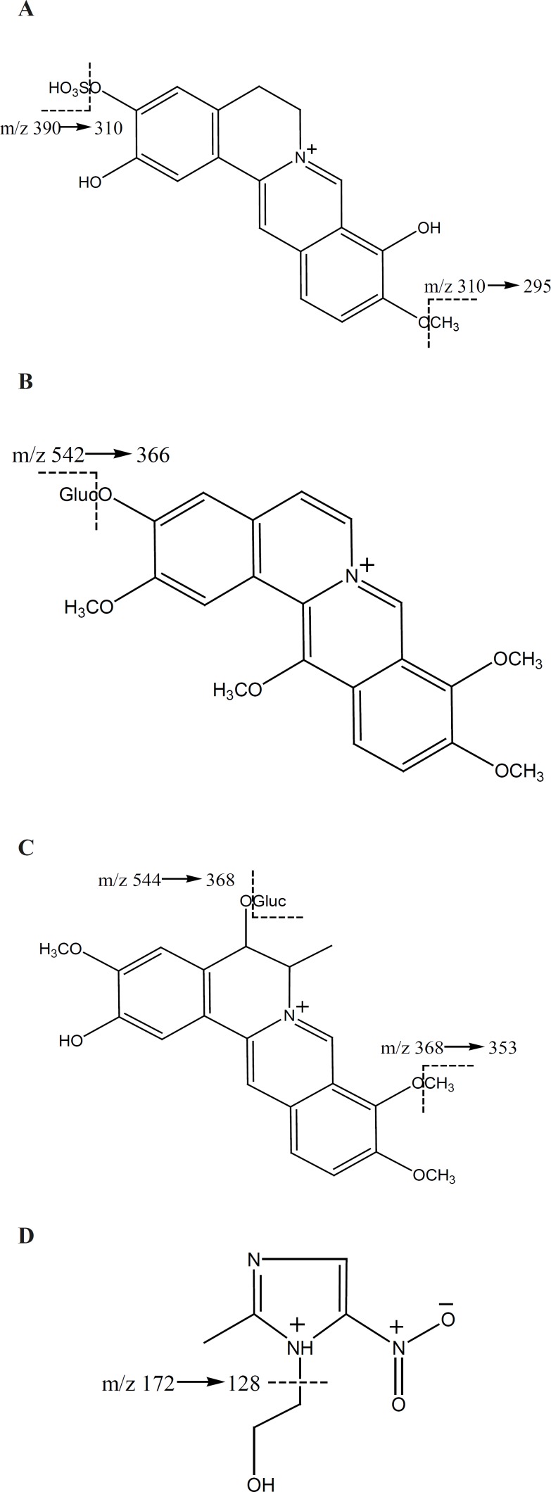 Chemical structure of (A) M1 (2,9-demethyljateorhizine- 3-sulfate) (B) M2 (13- methoxyjateorhizine-3-glucoronide) (C) M3 (6-methyljateorhizine-5-glucoronide) and (D) IS (meteronidasole0.