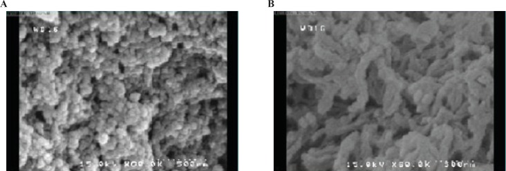 FE-SEM images of optimized chitosan nanoparticles with appropriate morphology (a), chitosan nanoparticles with poor morphology (b).