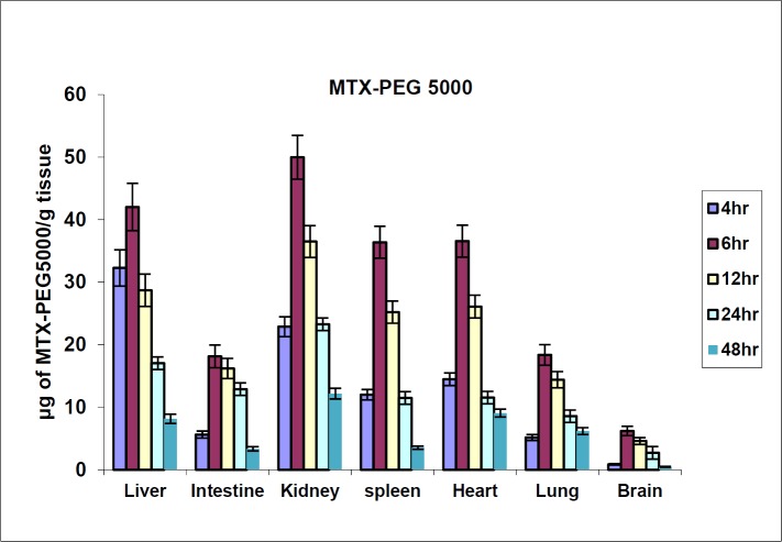 MTX-PEG5000 tissue distribution in mice in different times after iv injection (dose 70 mg/kg, n = 3)