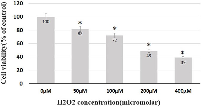 Dose-dependent cell death induced by H2O2 in BMSCs. Cell viability was determined by trypan blue assay. The survival rate after 8 h was 82%, 72%, 49% and 39% of the control group in the group receiving 50, 100, 200 and 400 μM of H2O2, respectively.