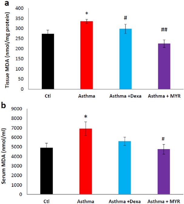 The effect of Myrtenol on the MAD level in lung tissue (a) and in serum (b) of asthmatic rats. *= P < 0.05 vs Ctl, # = P <0.05 and ## = P < 0.01 vs Asthma. The data were analyzed using ANOVA followed by Tukey′s post-hoc test
