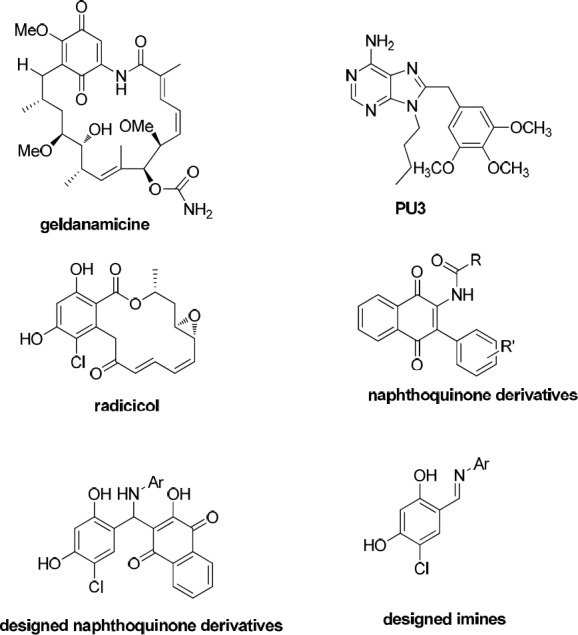 Chemical structures of known Hsp90 inhibitors and our designed compounds