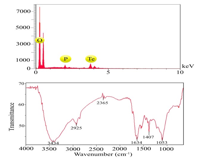 EDX (a) and FT-IR spectrum (b) of TeNPs produced by P. chrysogenum PTCC 5031