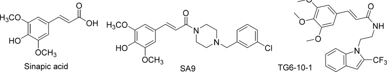 Typical structure of anti-inflammatory agents