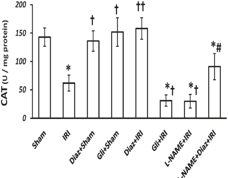 Effect of treatment with diazoxide and L-NAME on activity of antioxidant enzyme CAT in tissue samples prepared from hind limb muscle. Data are expressed as mean ± SEM in all groups. Ischemia reperfusion injury (IRI), Diaz: Diazoxide (40 mg/Kg), Gli: Glibenclamide (5 mg/Kg), L-NAME (20 mg/Kg). * p < 0.01 vs. Sham, † p < 0.05 and †† p < 0.01 vs. IRI, and # p < 0.05 vs. Diaz+IRI group