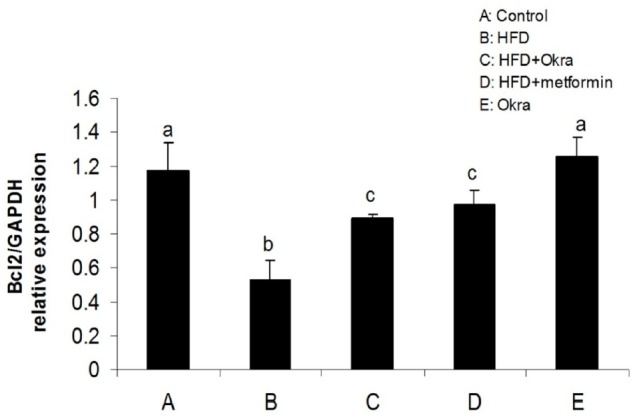 mRNA level of Bcl2 gene in ovary of diabetic rats after treatment with A. esculentus powder and metformin. Data were presented as the mean ± SD. Different letters denote significant differences (P < 0.05).
