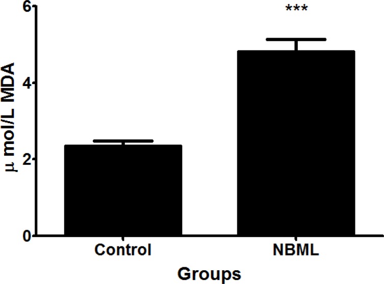 Malondialdehyde (MDA) levels in the control (2.35 ± 0.13) and NBML (4.81 ± 0.32) groups. The data are expressed as Mean ± SE; (n = 7 in each group).