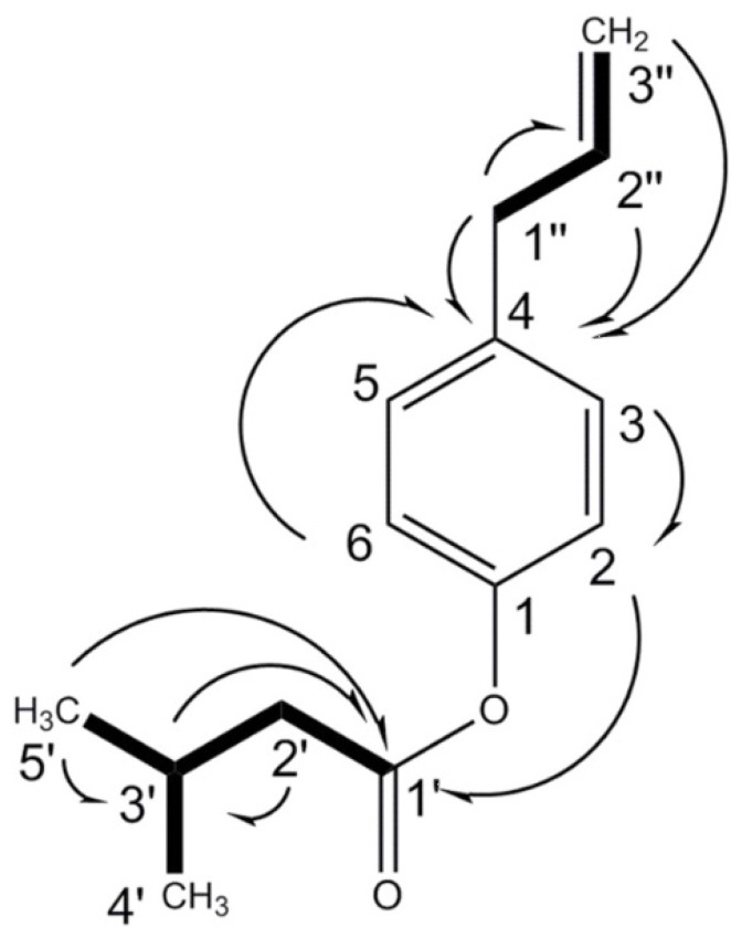 Key 1H-1H COSY (in bold) and HMBC correlations ( ) of 4-(prop-2-enyl)-phenyl-3'-methylbutyrate