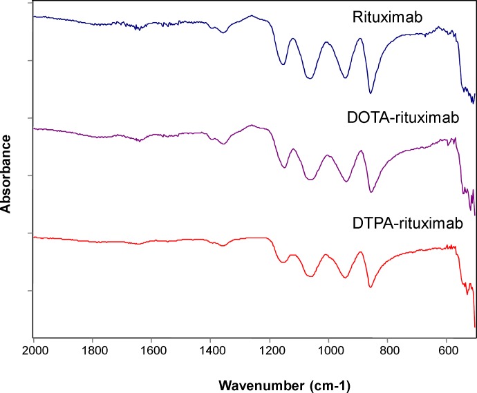 IR spectra of rituximab, DOTA-rituximab and DTPA-rituximab (after lyophilization