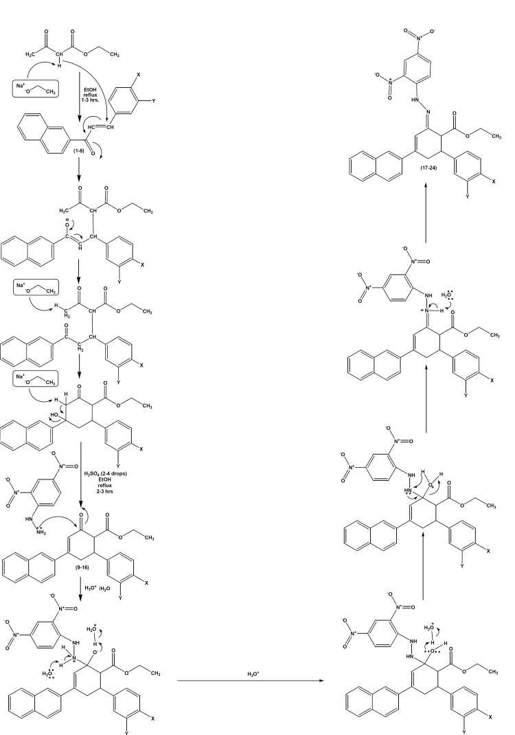 Mechanistic pathway for the formation of ethyl 4-(naphthalen-2-yl)-2-oxo-6-phenylcyclohex-3-enecarboxylates and (2E)-ethyl2- (2-(2,4-dinitrophrnyl)hydrazono)-4-(naphthalen-2-yl)-6-arylcyclohex-3-enecarboxylates