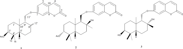 Structures of the sesquiterpene coumarins from Ferula assa-foetida oleo-gum-resin. 1: badrakemin acetate, 2: kellerin, 3: samarcandin diastereomer