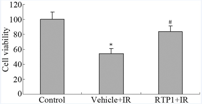 Effect of RTP1 on cell viability. *P < 0.05 vs control; #P < 0.05 vs Vehicle+IR.