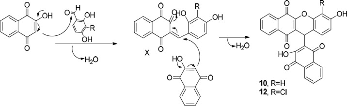 Proposed mechanism for the formation of benzoxanthene-6,11-dione derivatives (10 and 12)