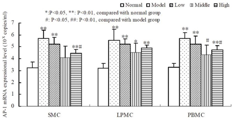 Comparison of AP-1 mRNA expressional level in SMC, LPMC and PBMC of normal group, model group and tetramethylpyrazine treated group (low dose, middle dose and high dose