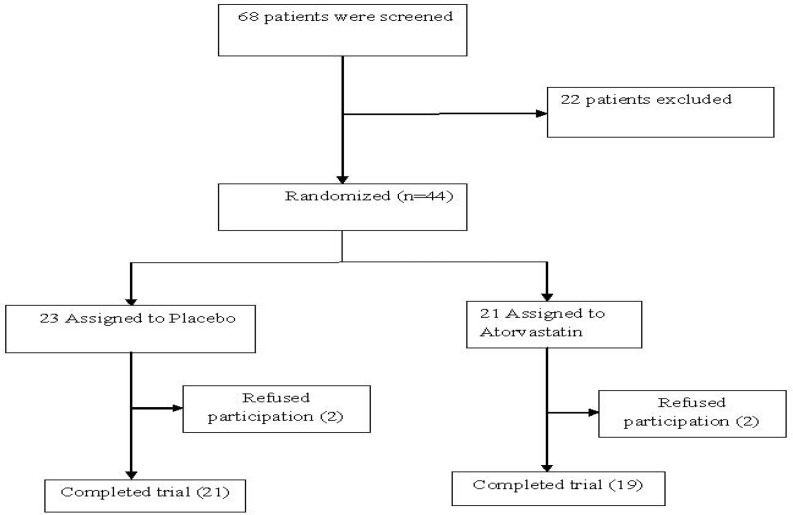 A chart of all patients screened for the study.