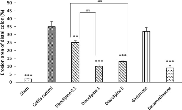 Changes in percentage of erosion area of distal colon (3 Cm) in mice with colitis treated with dizocilpine (0.1, 1 and 5 mg/kg, i.p.), L-glutamic acid (2 g/kg, p.o.) or dexamethasone (1 mg/kg, i.p.). Sham and colitis control groups received an equal volume of normal saline i.p. Animals were treated 24 h prior to induction of colitis and continued daily for 4 days. Data are presented as mean ± SEM. n = 6 per group. **𝑃 < 0.05, ∗∗∗ 𝑃 < 0.001 vs colitis control. ### 𝑃 < 0.001compared to dizocilpine 0.1mg/kg