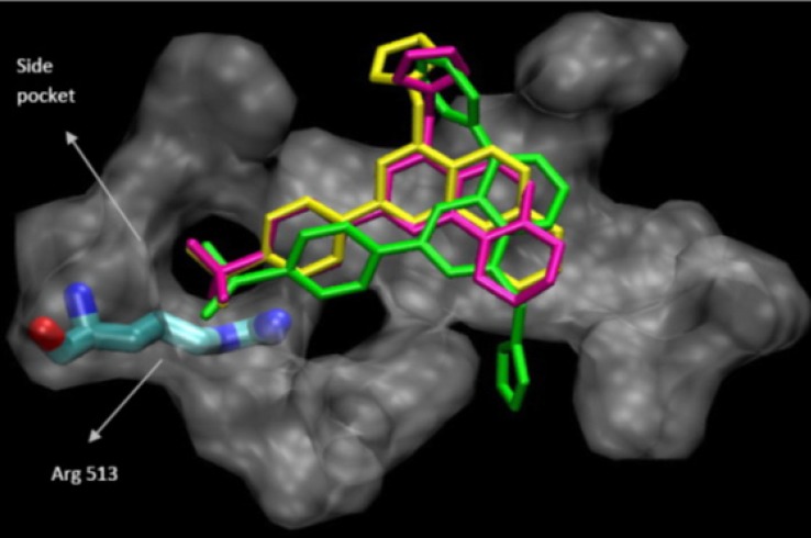 Docking 9a (in green), 9c (in yellow) and 9d (in pink) in the active site of murine COX-2.