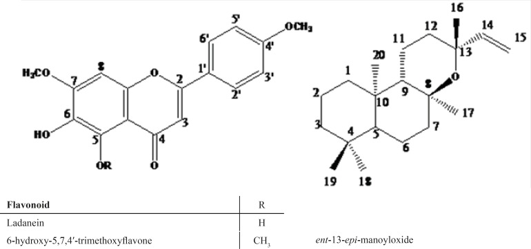 Isolated compounds from EtOAc/MeOH extract of S.sharifii