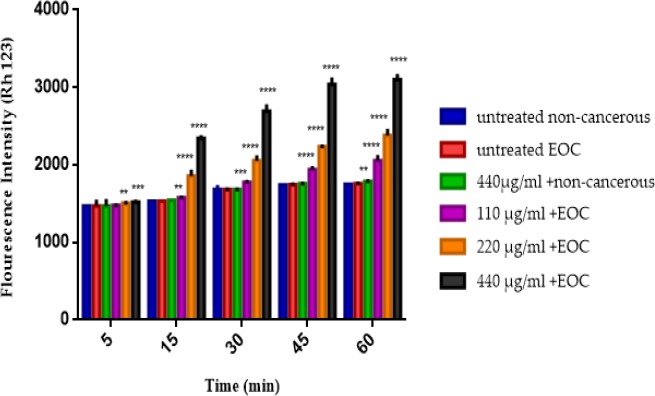 The MMP assay. The effect of various concentrations of F1 fraction (110, 220 and 440 µg/mL) of T. coronatus extract on decline of the MMP on the mitochondria obtained from non-cancerous and EOC tissues. Data are shown as mean ± SD (n = 5). **, *** And **** shows a significant difference in comparison with the untreated non-cancerous mitochondria (P < 0.01, P < 0.001 and P < 0.0001), respectively