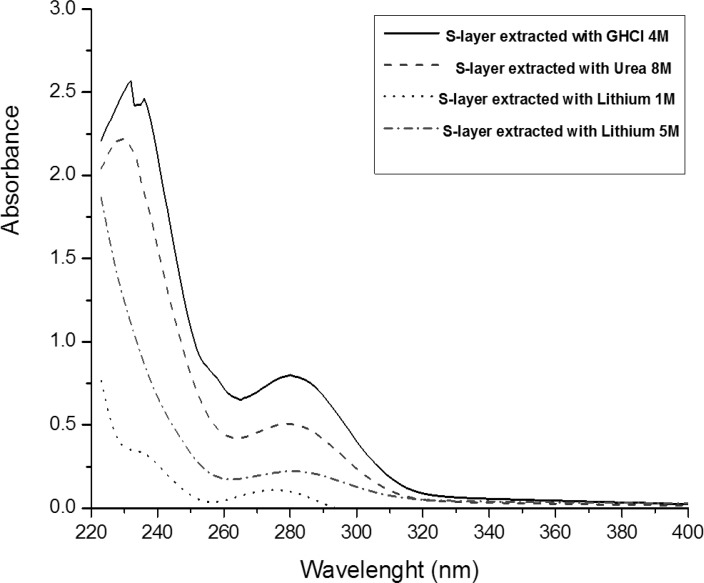 UV spectra of the Lactobacillus acidophilus ATCC4356 S-layer protein extracted with three different methods.