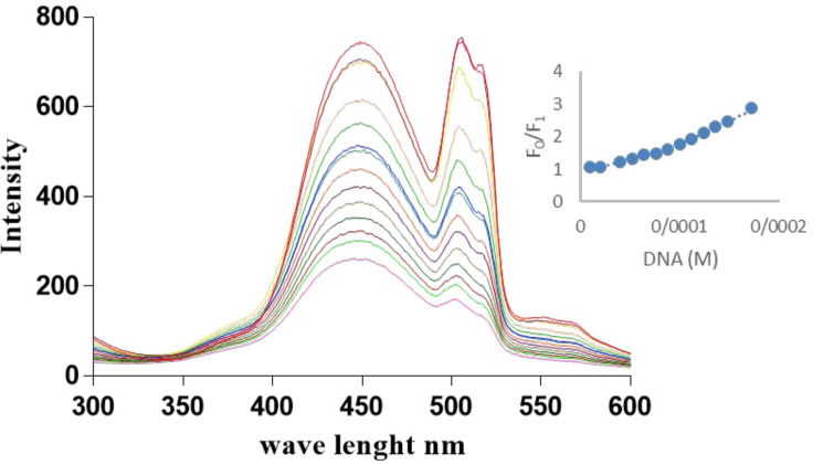 Fluorescence spectra of Microindoline 581 and F-DNA interaction. The Microindoline 581 (90 µM) was incubated with a range of F-DNA concentration (0-172 µM). The Stern –Volmer plot of binding was drawn