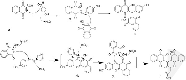 Proposed mechanisms for the formation of bisnaphtoquinone 5