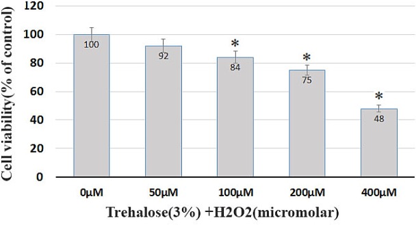 Cell viability. Trehalose pretreatment protects BMSCs against H2O2-induced cell death. The survival of the cells in the medium containing trehalose 3% and H2O2 at concentrations of 50, 100, 200, 400 μM was 92%, 84%, 75%, and 48%, respectively.