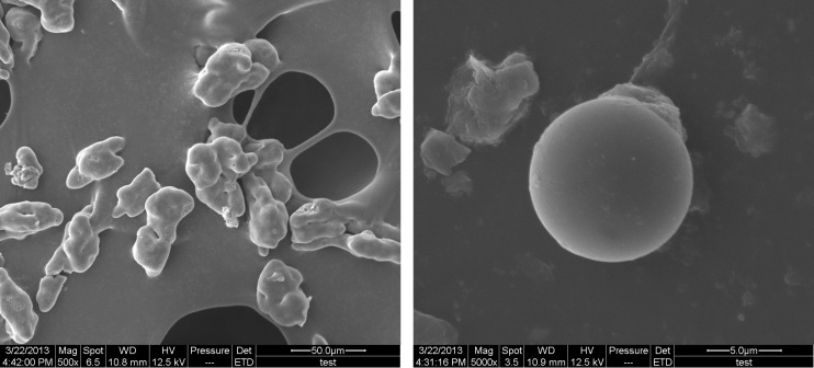 Scanning electron micrograph of gelatin-chitosan microcapsules. a) magnification of 500x; b) magnification of 5000x.