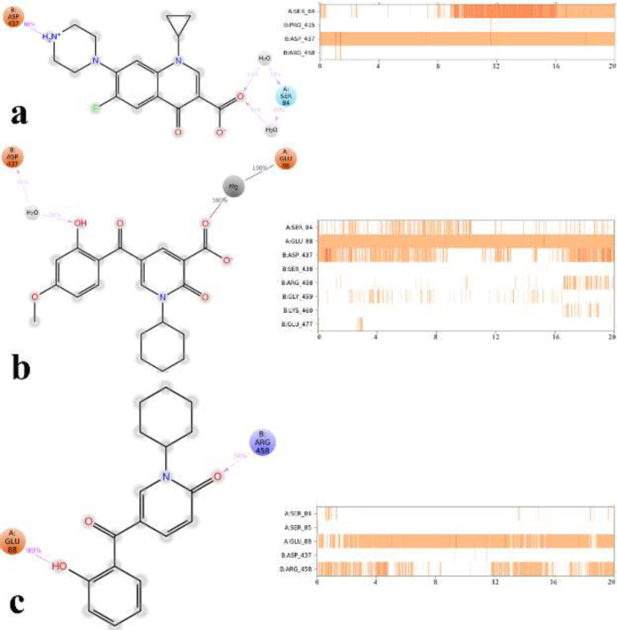 2D representation of ligand-residue interactions that occur during the 30% of simulation time which include DNA gyrase bound-state of ciprofloxacin (a), compound 4p (b) and compound 5c (c)