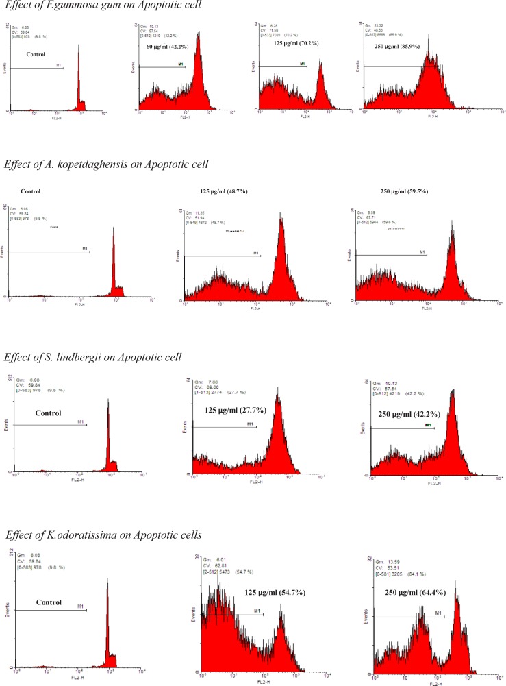 The proportion of apoptotic cells was measured with PI staining of DNA fragmentation by flow cytometry. The extracts induced a sub-G1peak (one of the reliable biochemical markers of apoptosis) in flow cytometry histogram of treated cells compared to control