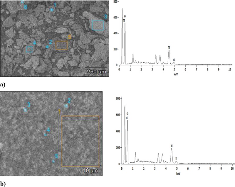 Scaning electron microscopy of titanium nanoparticles synthesized using E. purpurea extract and EDS profile, a) Image Pixel Size: 2.51 µM , b) Image Pixel Size: 0.10 µM