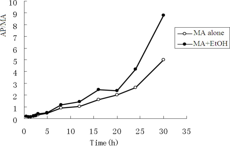 Vital signs of rabbits after intragastric administration of MA