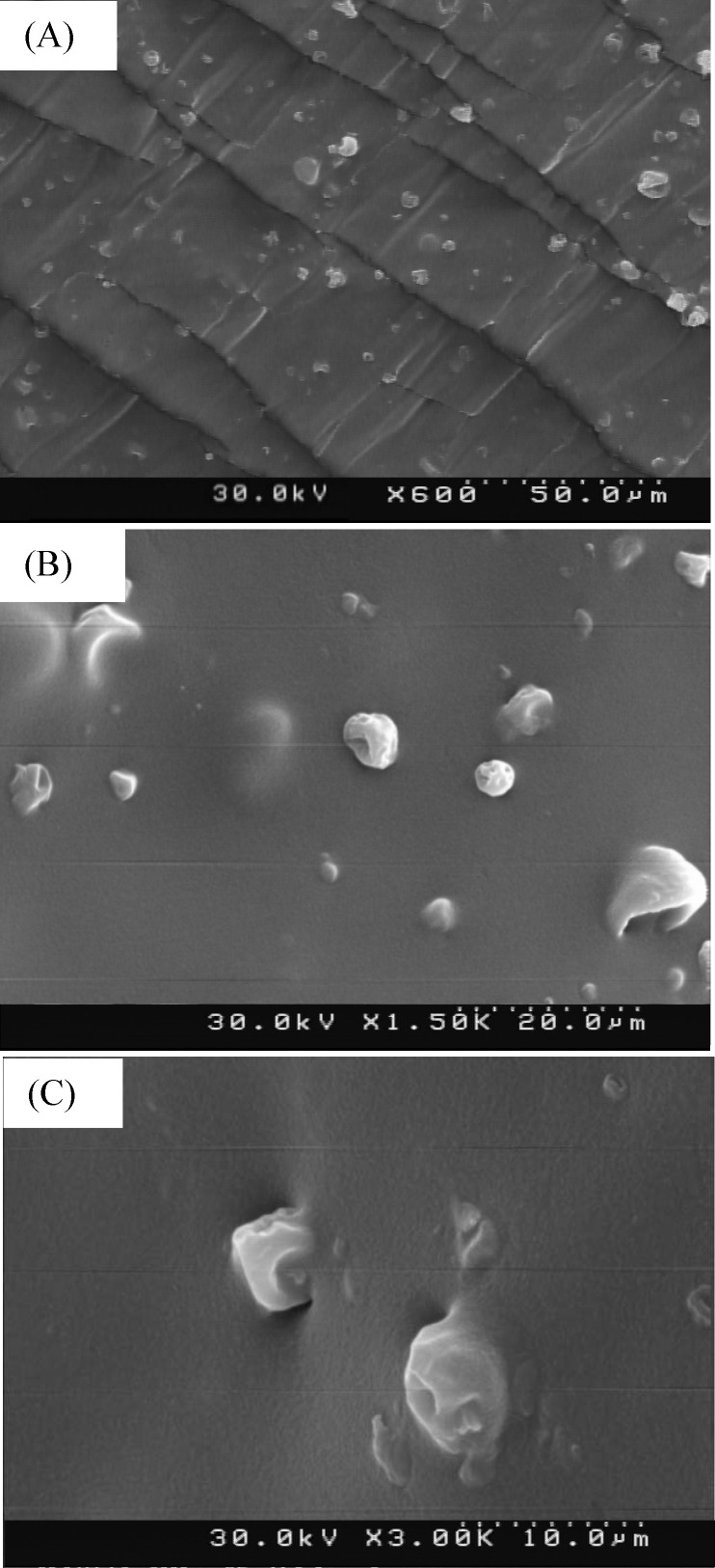 FESEM images of dispersed group 2 of microparticles in the acrylic adhesive for (A) cross section (600x), (B) surface (1500x) and (C) magnified surface (3000x