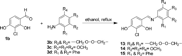 Synthesis of novel Schiff bases of 3-chloro-2,4-dihydroxybenzaldehyde (1b)