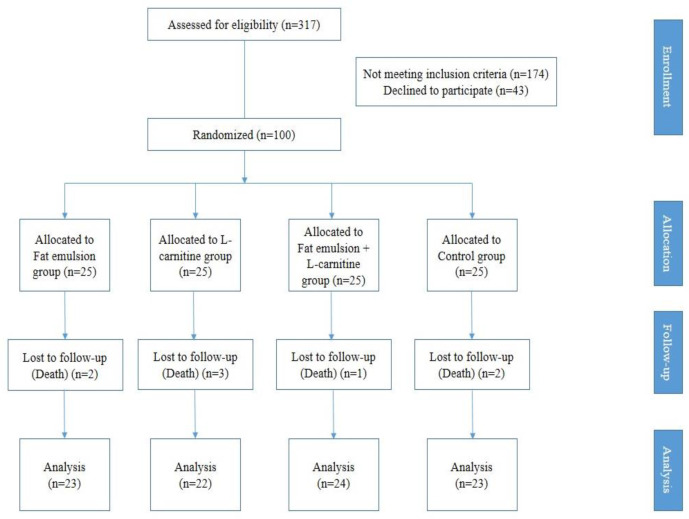 CONSORT flow diagram of the study design for enrollment, allocation, follow-up and analysis